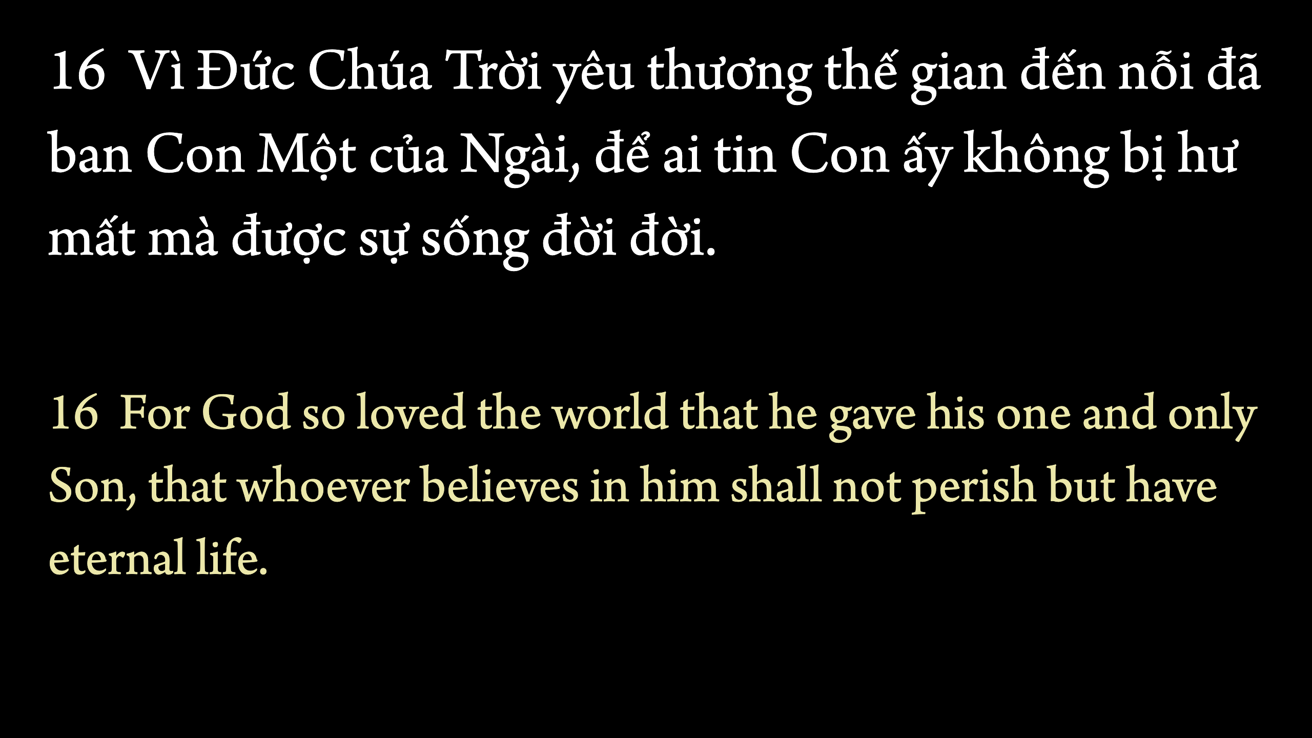 A finished bilingual slide of John 3:16 — Vietnamese above, English below
